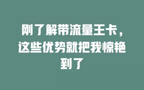 刚了解带流量王卡，这些优势就把我惊艳到了