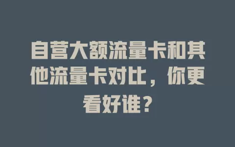 自营大额流量卡和其他流量卡对比，你更看好谁？