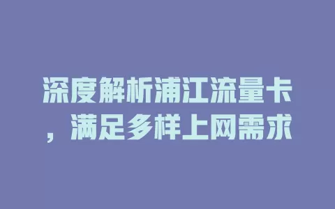 深度解析浦江流量卡，满足多样上网需求