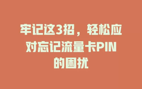 牢记这3招，轻松应对忘记流量卡PIN的困扰
