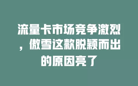 流量卡市场竞争激烈，傲雪这款脱颖而出的原因亮了