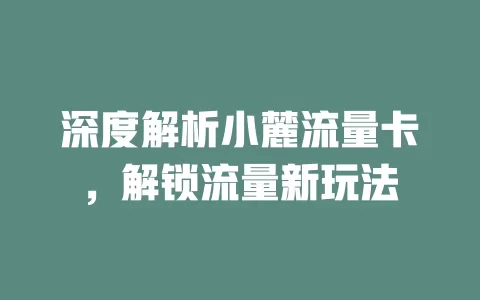 深度解析小麓流量卡，解锁流量新玩法