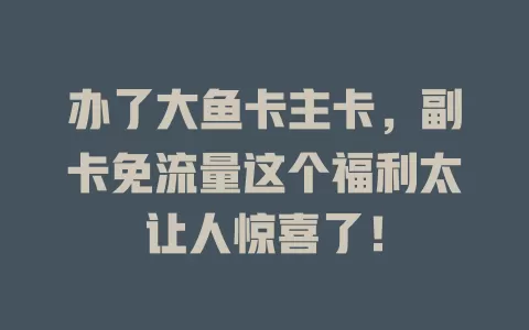 办了大鱼卡主卡，副卡免流量这个福利太让人惊喜了！