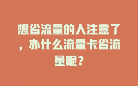 想省流量的人注意了，办什么流量卡省流量呢？