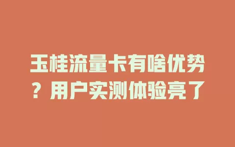玉桂流量卡有啥优势？用户实测体验亮了