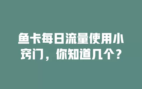 鱼卡每日流量使用小窍门，你知道几个？