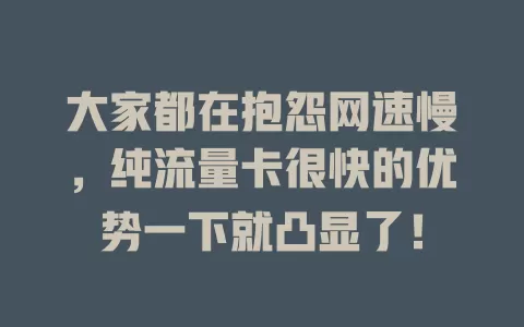 大家都在抱怨网速慢，纯流量卡很快的优势一下就凸显了！