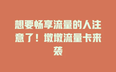 想要畅享流量的人注意了！墩墩流量卡来袭