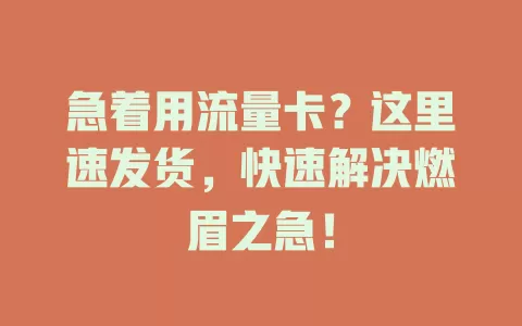 急着用流量卡？这里速发货，快速解决燃眉之急！