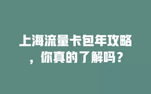 上海流量卡包年攻略，你真的了解吗？