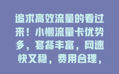 追求高效流量的看过来！小懒流量卡优势多，套餐丰富，网速快又稳，费用合理，助你畅享网络服务，告别流量烦恼