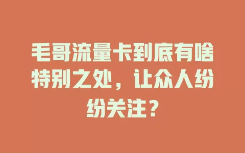 毛哥流量卡到底有啥特别之处，让众人纷纷关注？