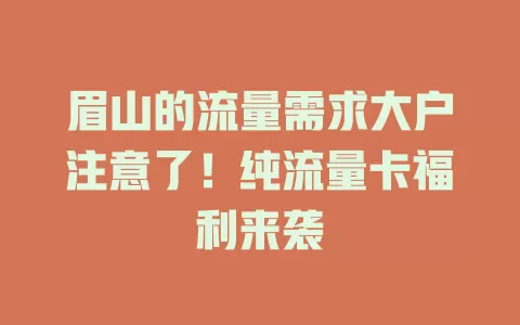 眉山的流量需求大户注意了！纯流量卡福利来袭