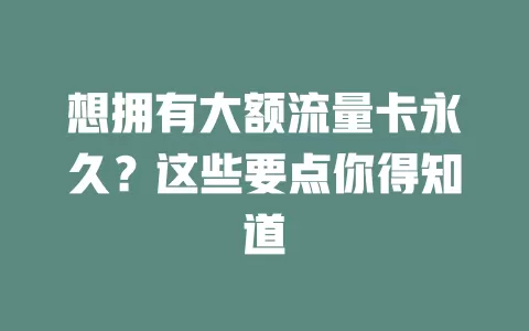 想拥有大额流量卡永久？这些要点你得知道