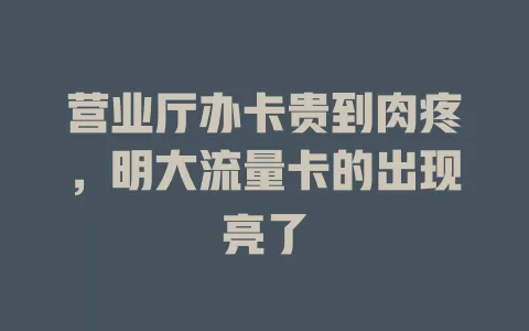 营业厅办卡贵到肉疼，明大流量卡的出现亮了