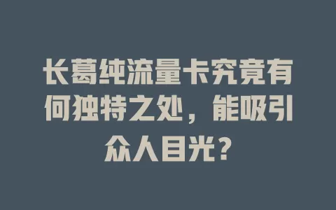 长葛纯流量卡究竟有何独特之处，能吸引众人目光？