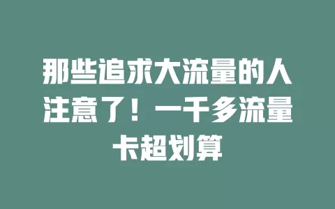 那些追求大流量的人注意了！一千多流量卡超划算