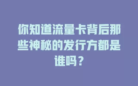 你知道流量卡背后那些神秘的发行方都是谁吗？