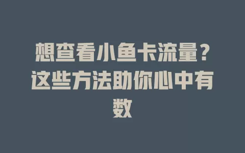 想查看小鱼卡流量？这些方法助你心中有数