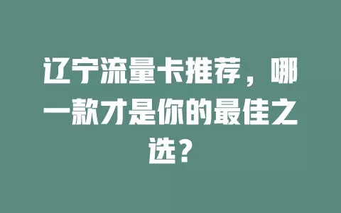 辽宁流量卡推荐，哪一款才是你的最佳之选？