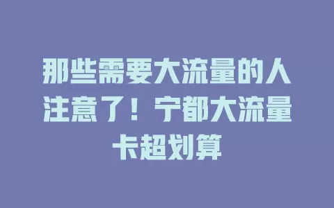 那些需要大流量的人注意了！宁都大流量卡超划算