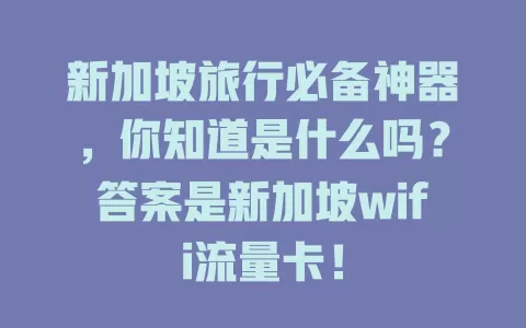 新加坡旅行必备神器，你知道是什么吗？答案是新加坡wifi流量卡！