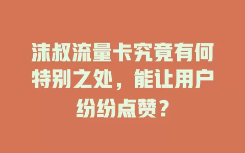 沫叔流量卡究竟有何特别之处，能让用户纷纷点赞？