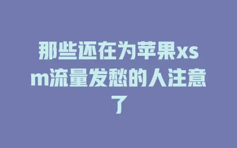 那些还在为苹果xsm流量发愁的人注意了