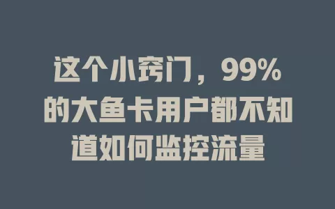 这个小窍门，99%的大鱼卡用户都不知道如何监控流量