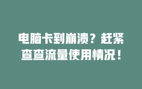 电脑卡到崩溃？赶紧查查流量使用情况！