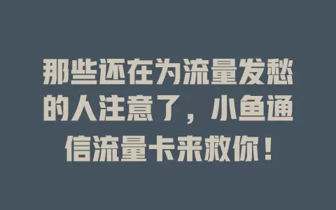 那些还在为流量发愁的人注意了，小鱼通信流量卡来救你！
