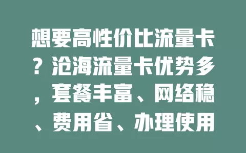 想要高性价比流量卡？沧海流量卡优势多，套餐丰富、网络稳、费用省、办理使用超便捷！