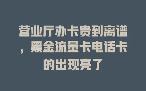 营业厅办卡贵到离谱，黑金流量卡电话卡的出现亮了