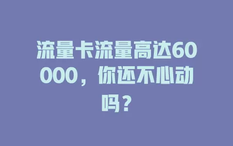 流量卡流量高达60000，你还不心动吗？