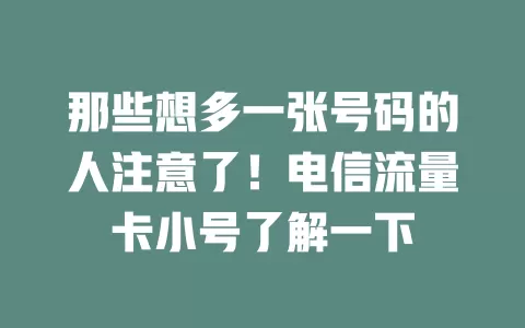 那些想多一张号码的人注意了！电信流量卡小号了解一下