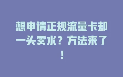 想申请正规流量卡却一头雾水？方法来了！