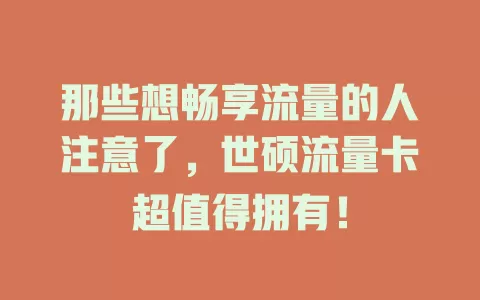 那些想畅享流量的人注意了，世硕流量卡超值得拥有！