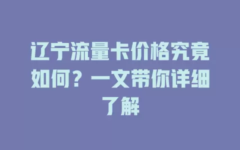 辽宁流量卡价格究竟如何？一文带你详细了解