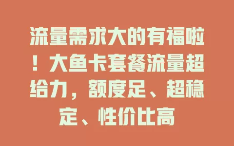 流量需求大的有福啦！大鱼卡套餐流量超给力，额度足、超稳定、性价比高