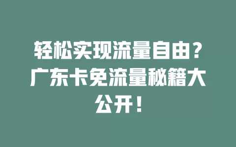 轻松实现流量自由？广东卡免流量秘籍大公开！