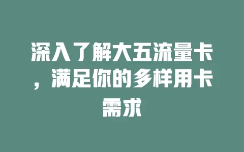 深入了解大五流量卡，满足你的多样用卡需求