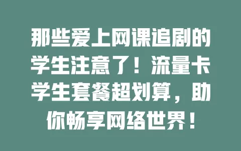 那些爱上网课追剧的学生注意了！流量卡学生套餐超划算，助你畅享网络世界！