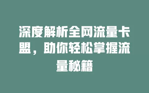 深度解析全网流量卡盟，助你轻松掌握流量秘籍