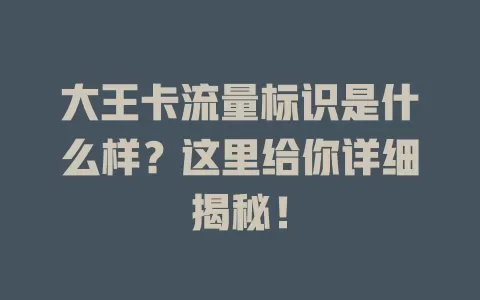 大王卡流量标识是什么样？这里给你详细揭秘！