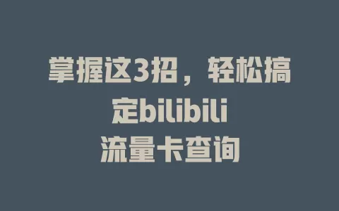 掌握这3招，轻松搞定bilibili流量卡查询