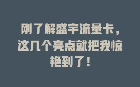 刚了解盛宇流量卡，这几个亮点就把我惊艳到了！