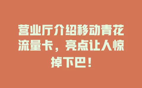 营业厅介绍移动青花流量卡，亮点让人惊掉下巴！