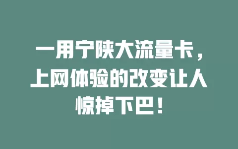 一用宁陕大流量卡，上网体验的改变让人惊掉下巴！