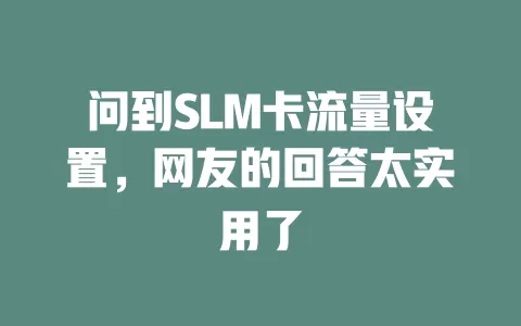 问到SLM卡流量设置，网友的回答太实用了