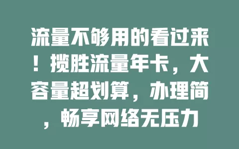 流量不够用的看过来！揽胜流量年卡，大容量超划算，办理简，畅享网络无压力